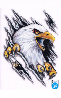 Nálepka Auto-Tattoo "Bald eagle"
