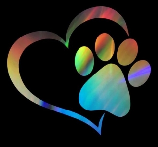 Samolepka Dog Paw with Peach Heart Car Sticker Rainbow